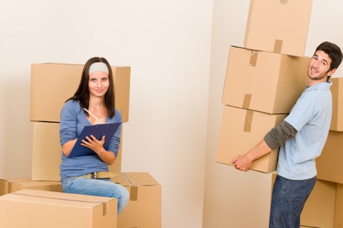 Related removal services and quote request options